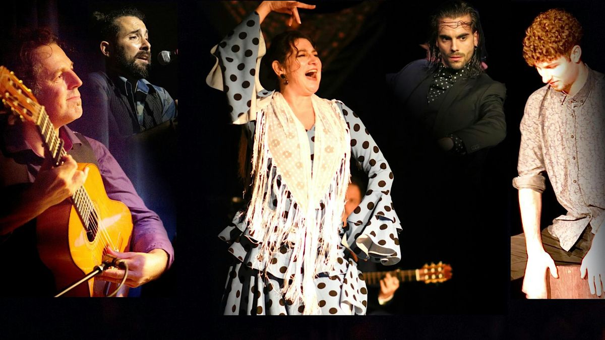 Fiesta Flamenca Night