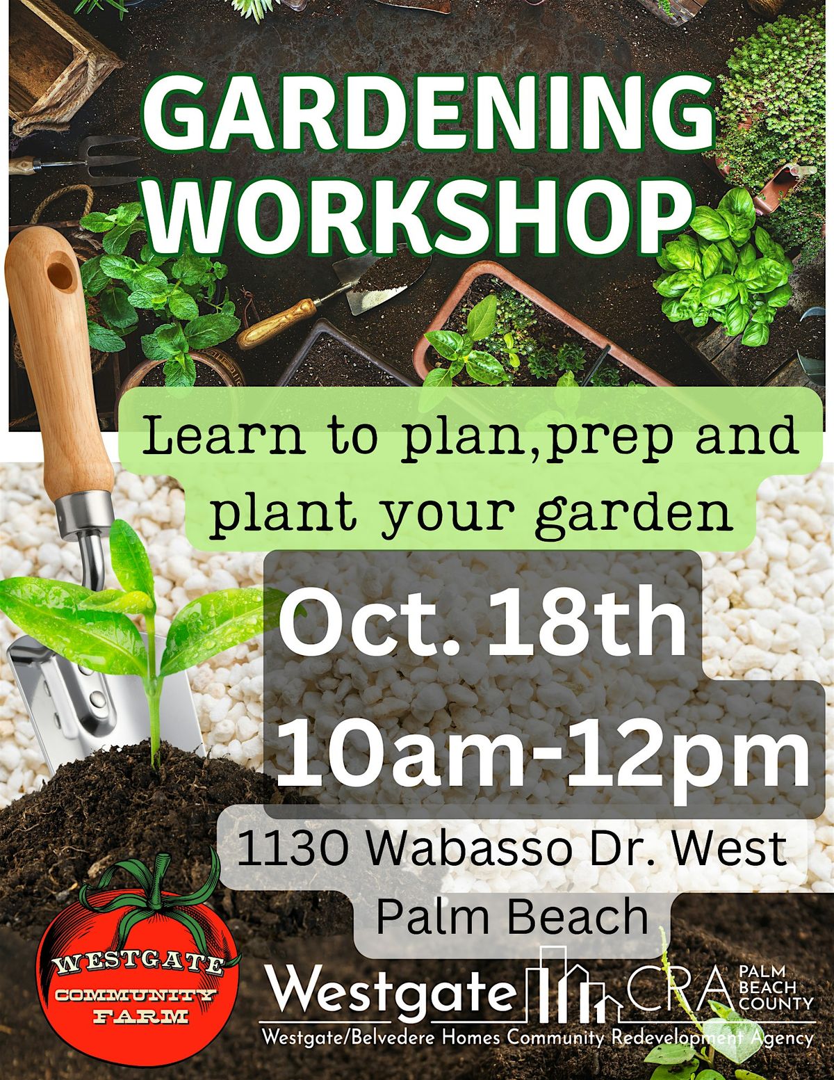 Organic Gardening 101