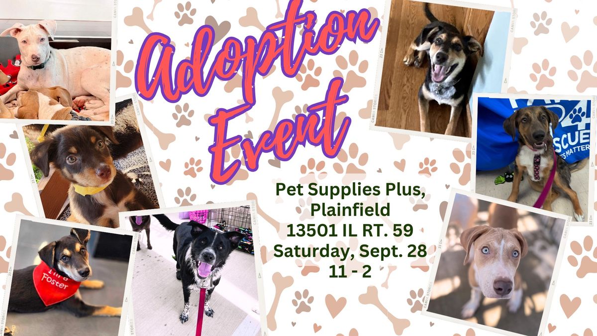 Adoption Event