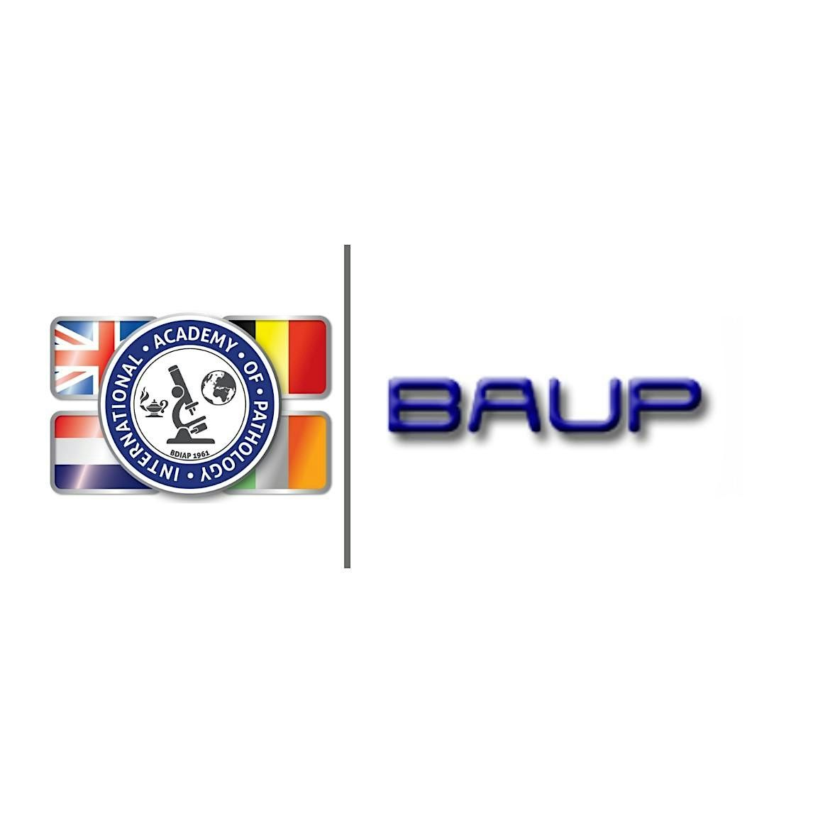 BDIAP\/BAUP Symposium on Urological Pathology