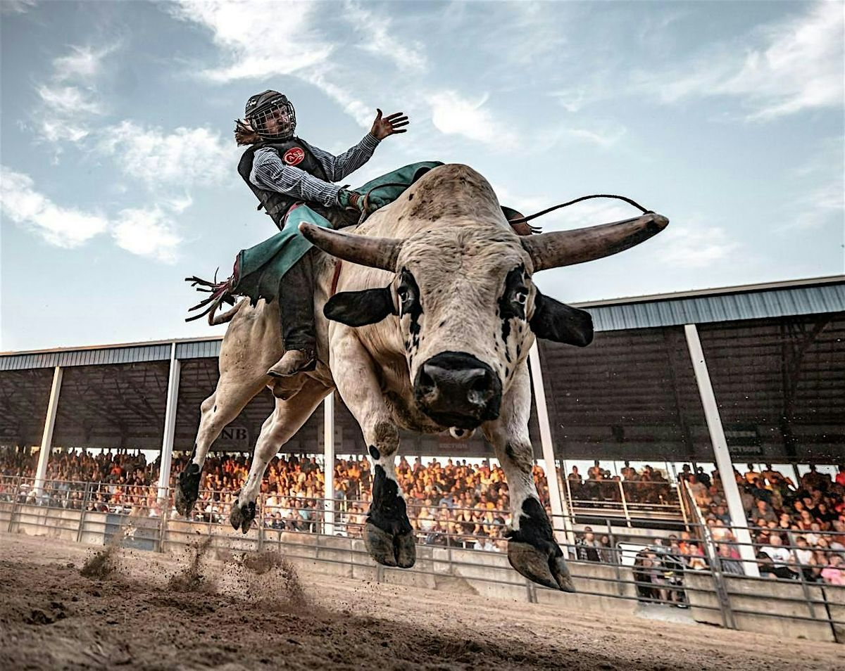 Big Bend Stampede Featuring Next Level Pro Bull Riding