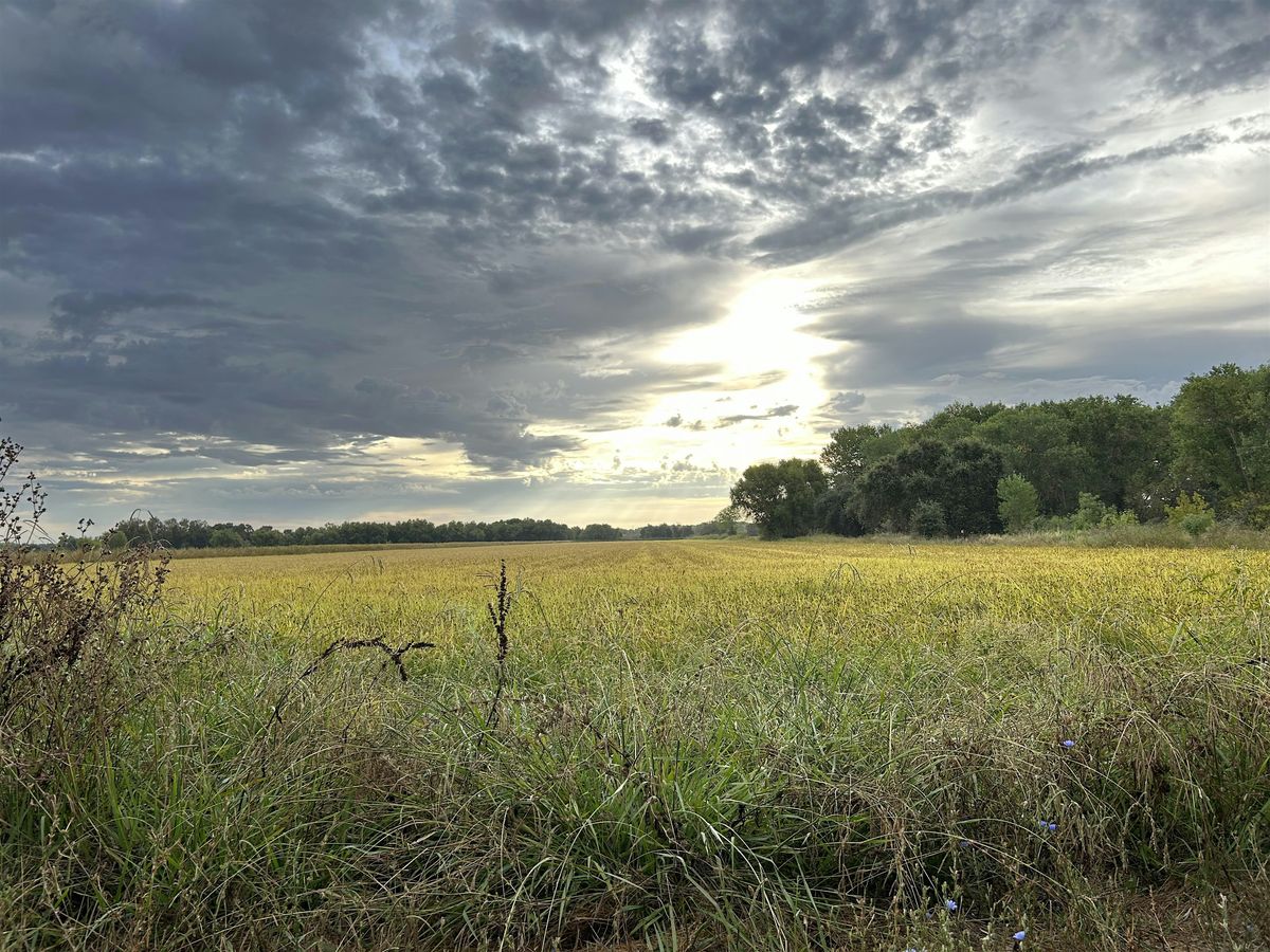 Explore the History of the Cosumnes River on a Guided Walk