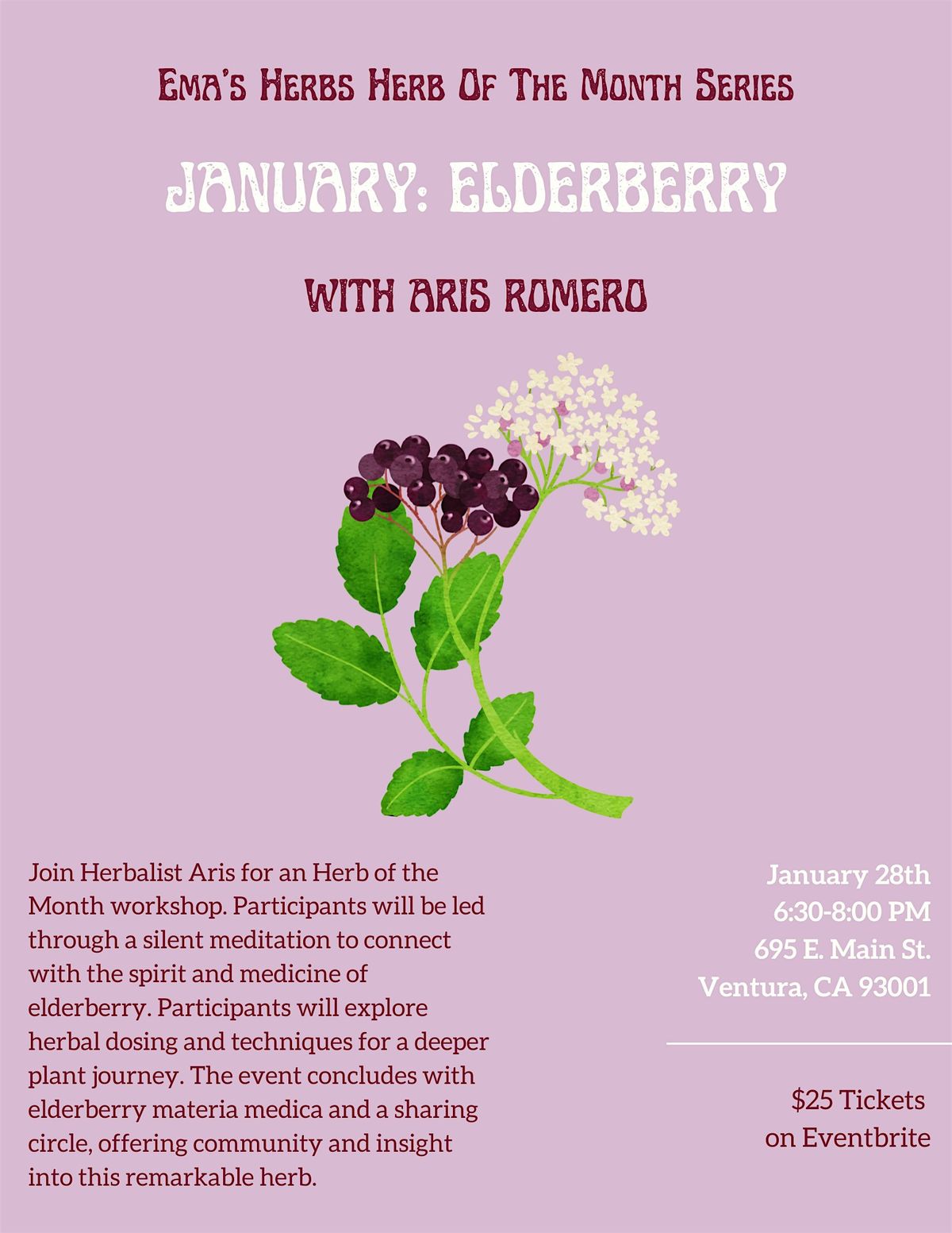 January Herb of the Month: Elderberry with Aris Romero