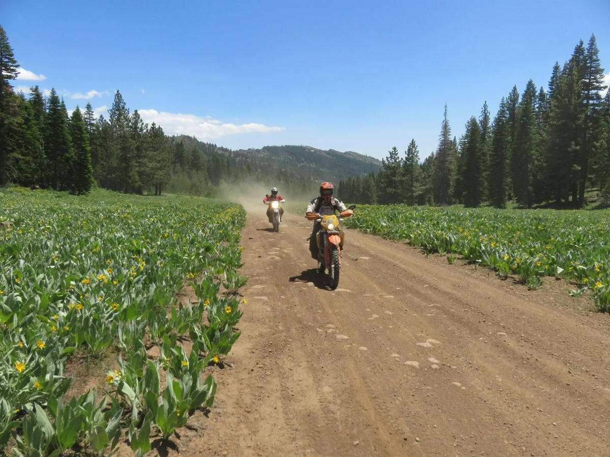 2025 Ride Reno 200