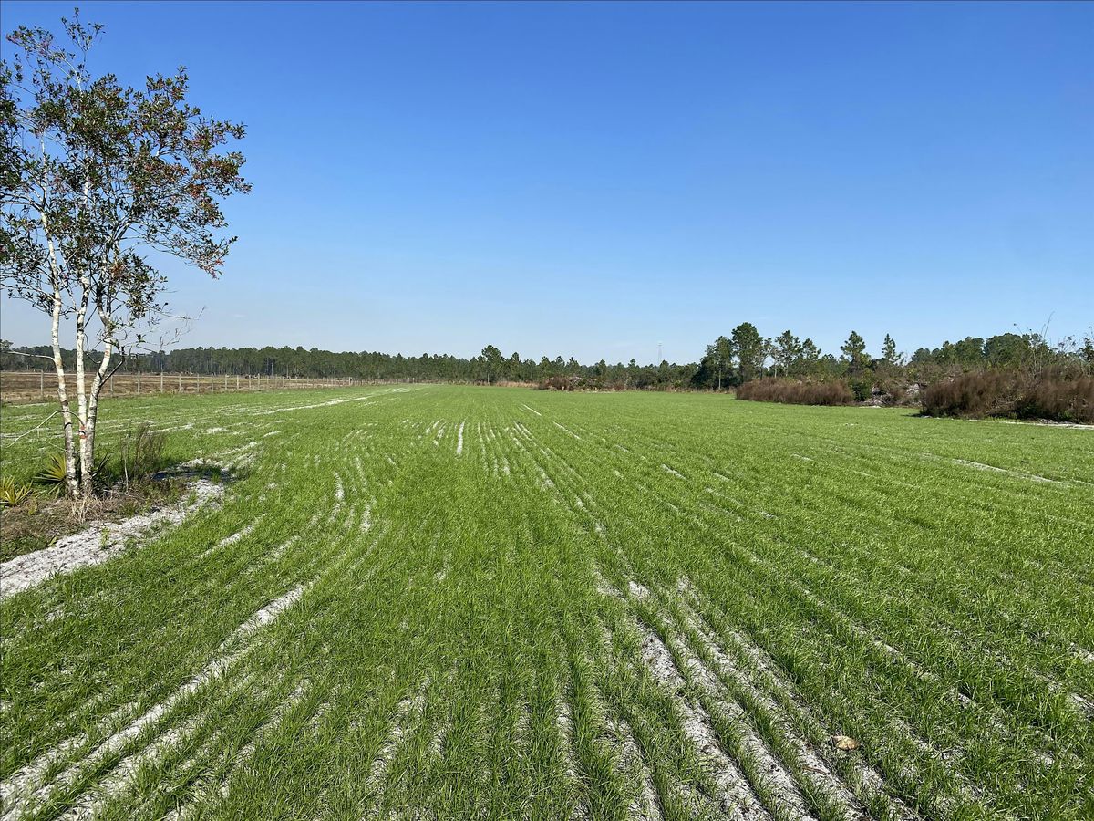 Green Up Your Pastures:  Soil Basics for Livestock Owners