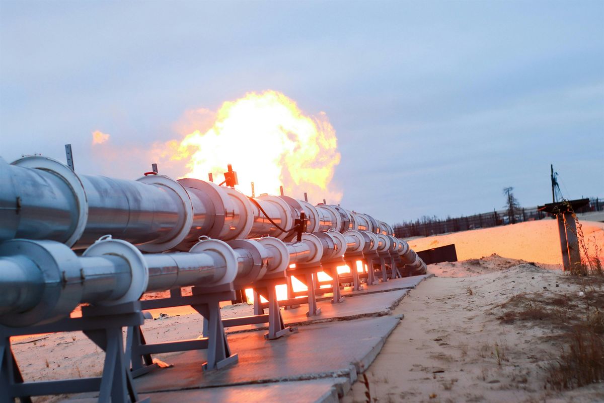 The Cinema of Resistance: Eco-defense or Eco-terrorism?