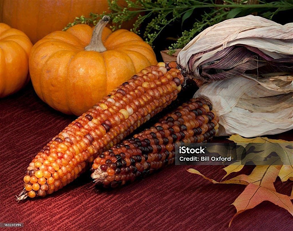 Indian Corn and Pumpkin Still Life | Cheryl Bielli, instructor