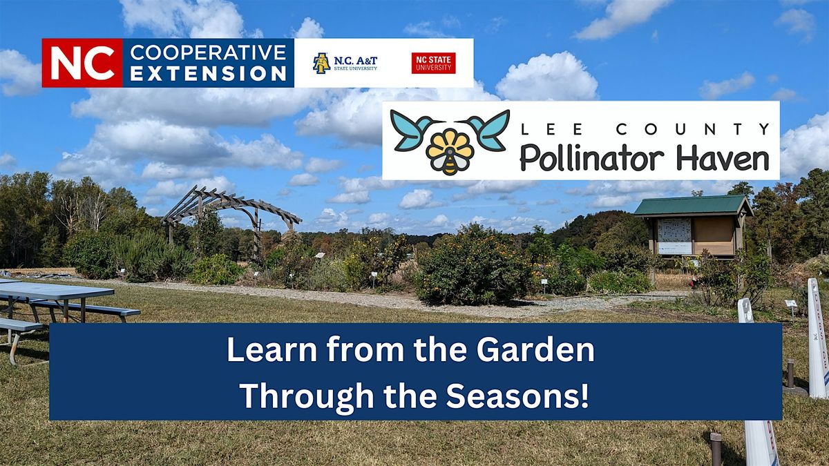 Free Public Tour of the Pollinator Haven Garden- October 2025