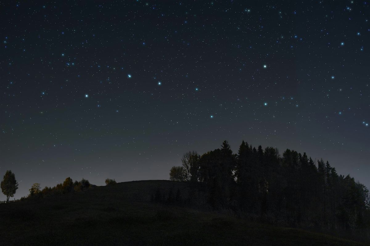 Night Hike