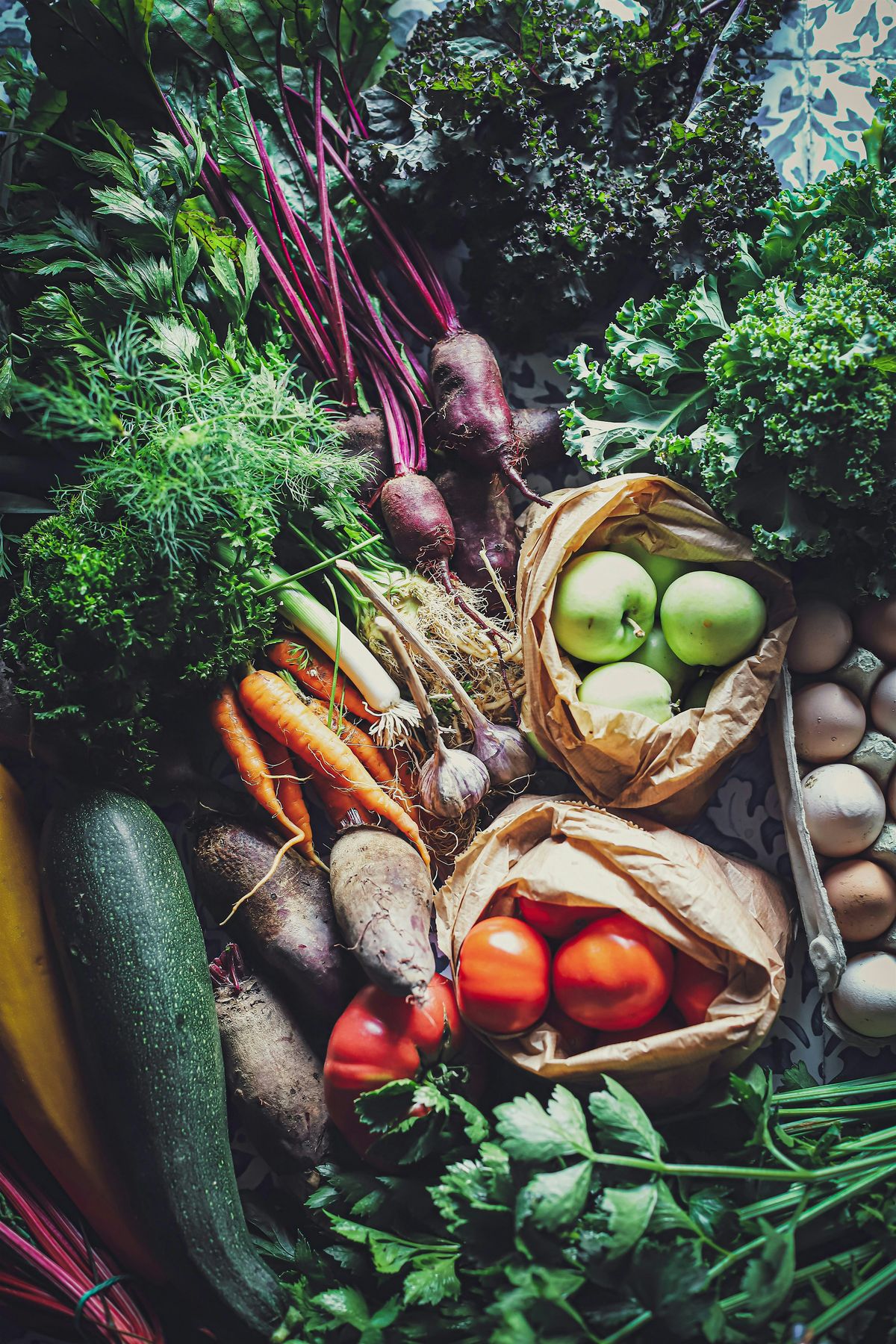 Feed the Microbiome   - Nutrition Workshop + Microbial Feast