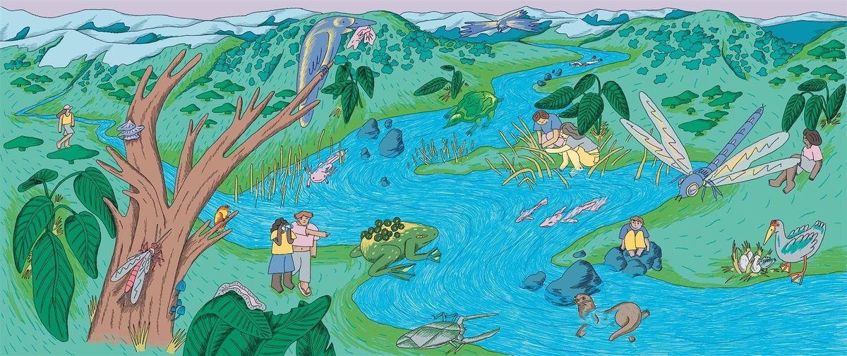 Home River BioBlitz: Guadalupe River (Santa Clara County)