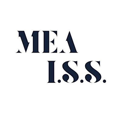 MEA Institute for Strategic Studies