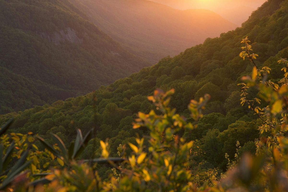 Stewardship of the Land: A Faith-Based Advocacy Training