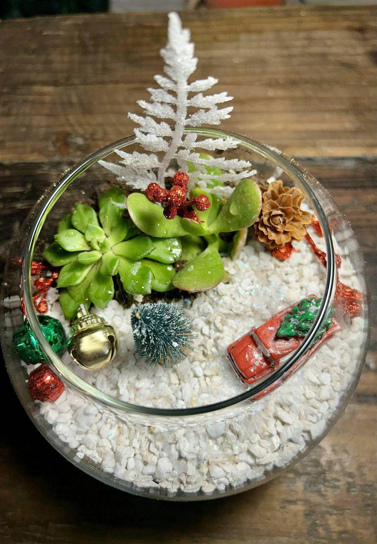 DIY Winter Terrariums at Prodigy