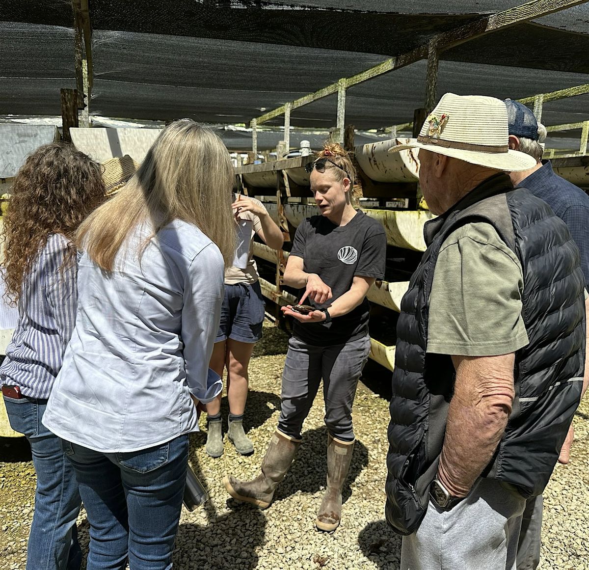 Cultured Abalone Farm Walking Tour
