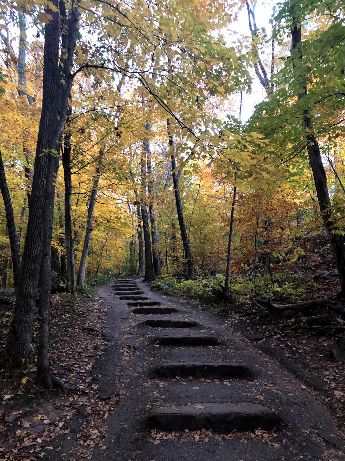 Fall Color Hike at Devil's Lake State Park