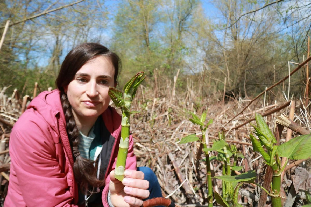 Exploring Edible Invasive and Non-Native Plants