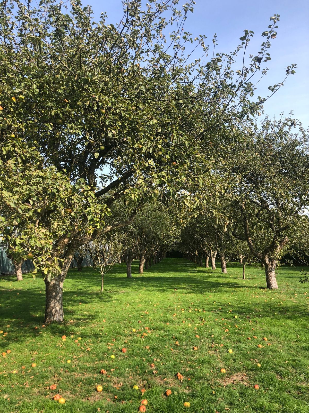 Bethlem History Walk