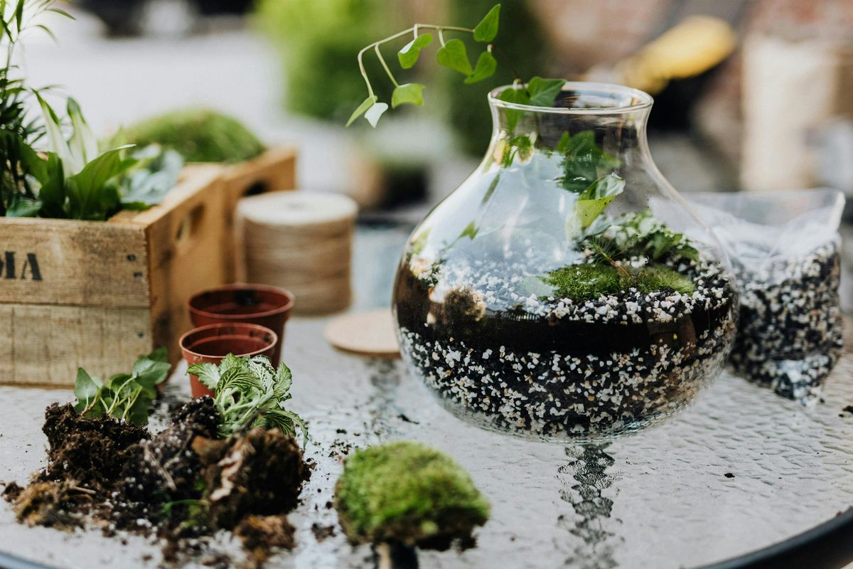 Terrarium Building Workshop in Carrboro