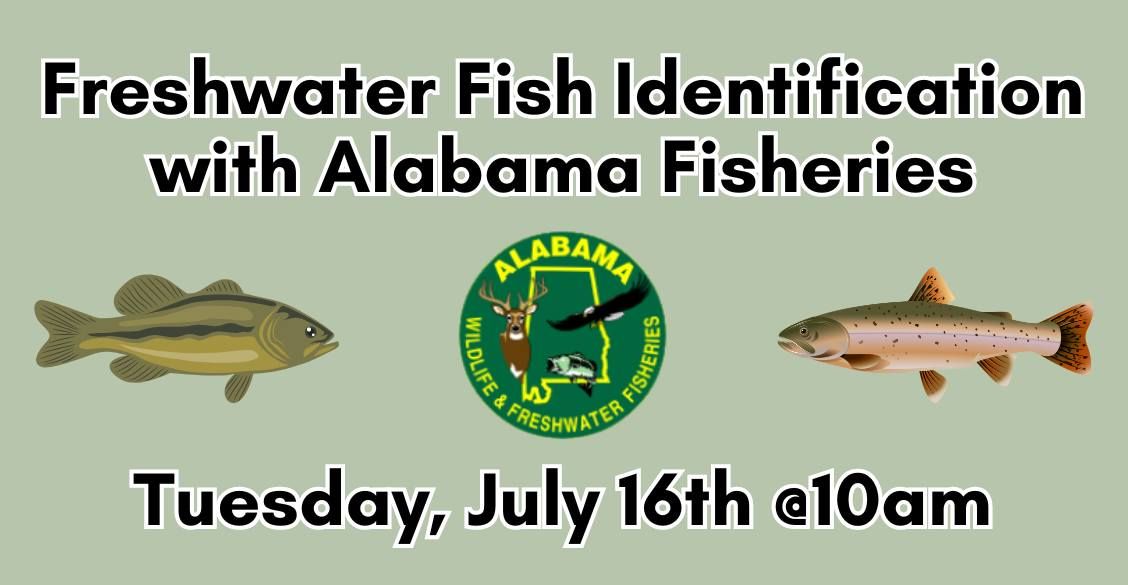 Freshwater Fish Identification with Alabama Fisheries
