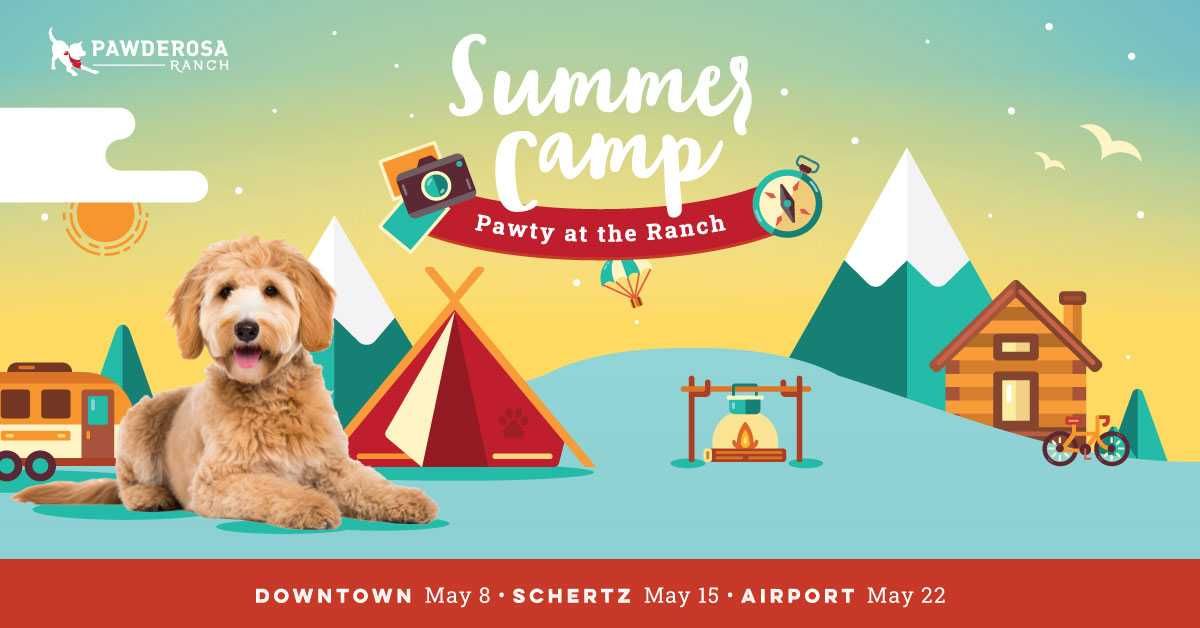 Summer Camp pawty