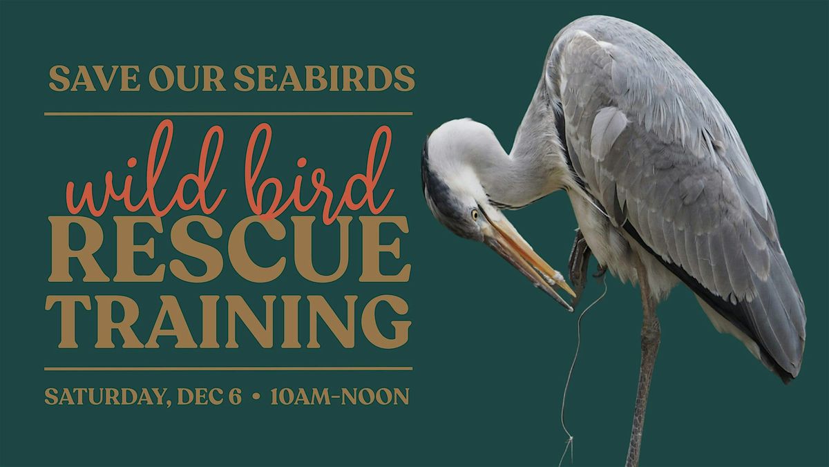 Wild Bird Rescue Training