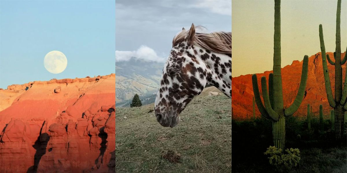 Wild West | MEMBERS ONLY