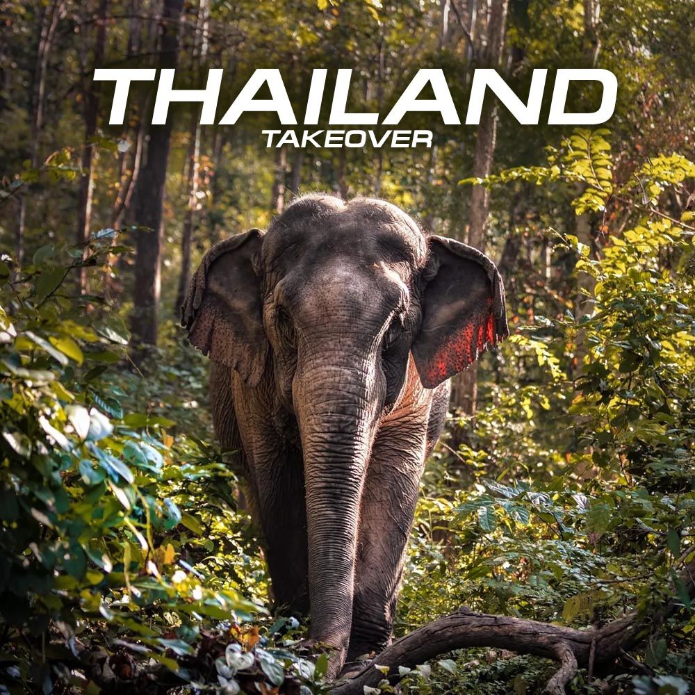 THAILAND TAKEOVER