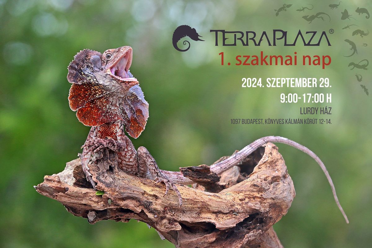 TerraPlaza 1. szakmai nap