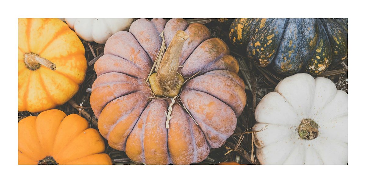 Pumpkin Fairy House: Whimsical Fall Creations