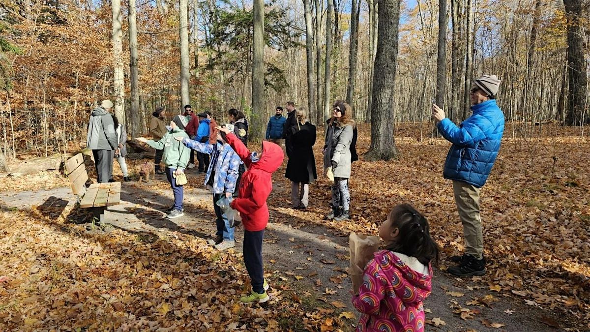 2025 PEO Kingston Chapter Fall Nature Walk
