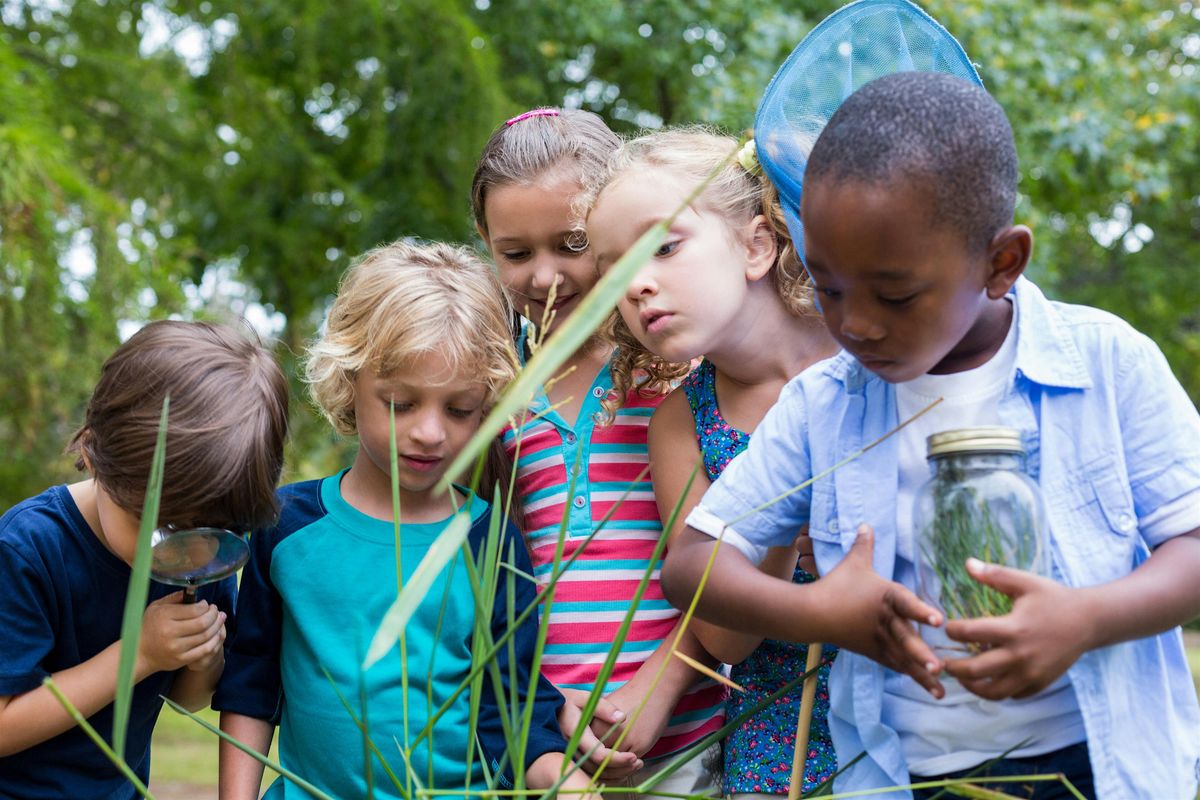 EcoSleuth Children's Program