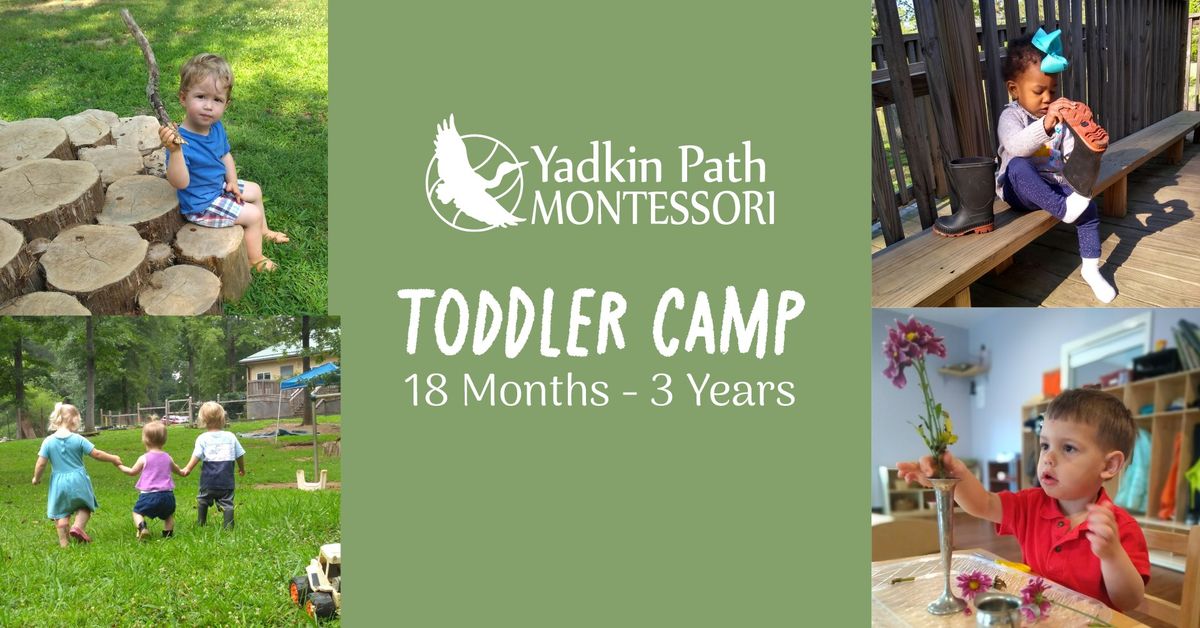 Toddler Summer Camp