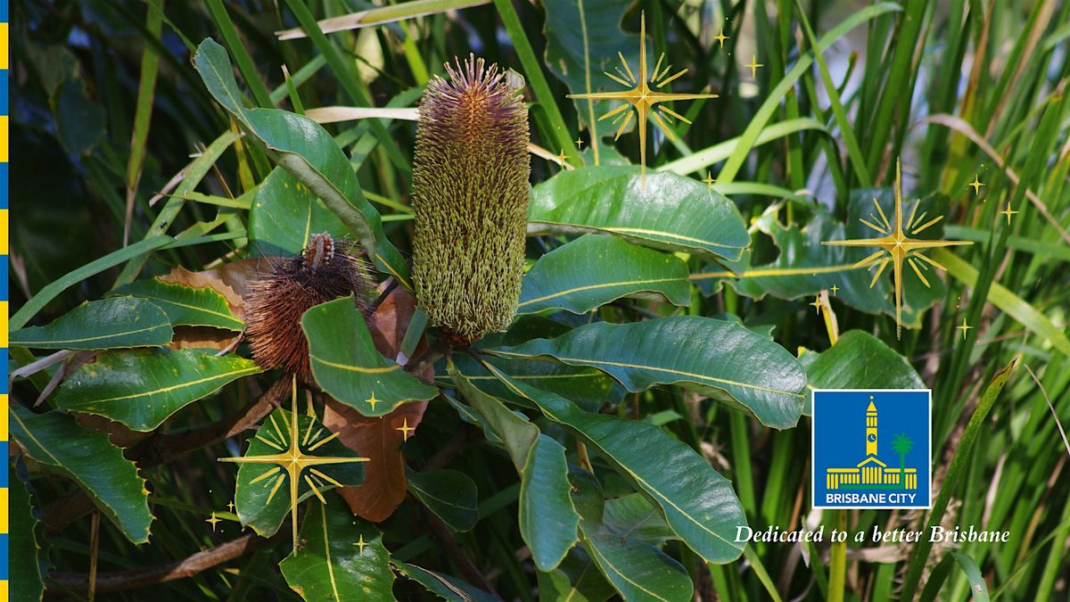 12 Days of Christmas - Wild Edibles Walk