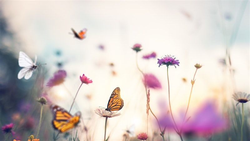 Creative Meditation (In Person) - Thursday Evening