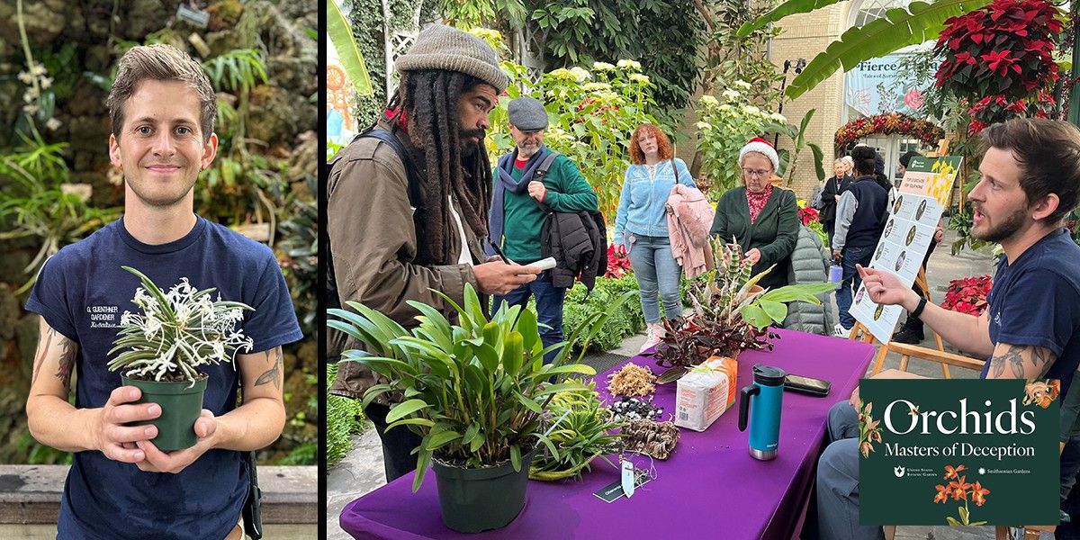 Look & Learn: Repotting Orchids (On-site Drop-in Demonstration)