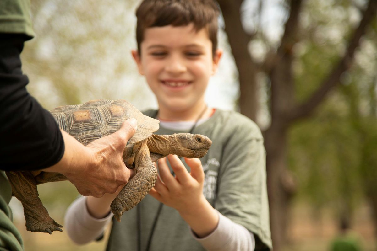 10th Annual Spring Nature Festival- Wind Wolves Preserve