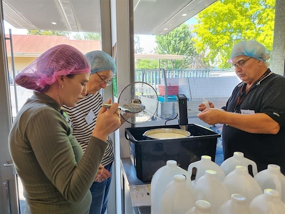 Cheesemaking with Barry
