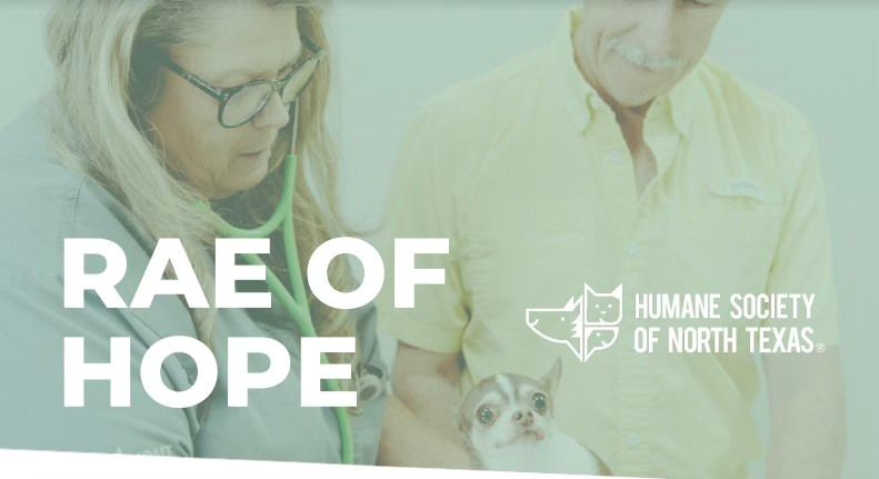 Rae of Hope | Free Basic Veterinary Care for Senior Citizens 