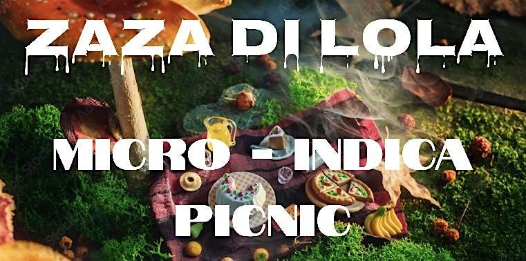 Micro-Indica Beach Picnic