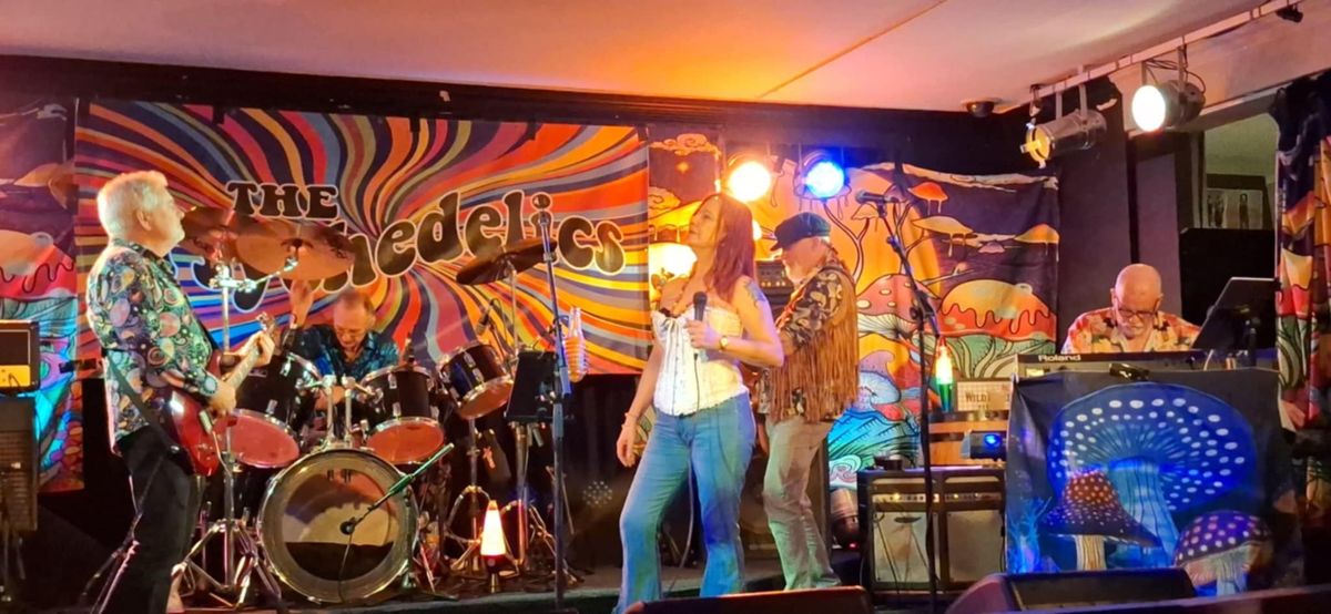 The Psychedelics 60s rock show at Figtree Sports