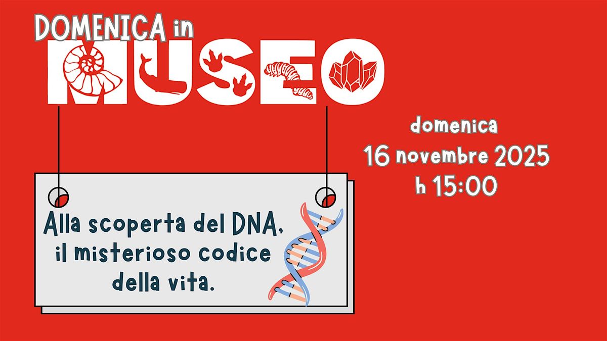 ALLA SCOPERTA DEL DNA, il misterioso codice della vita