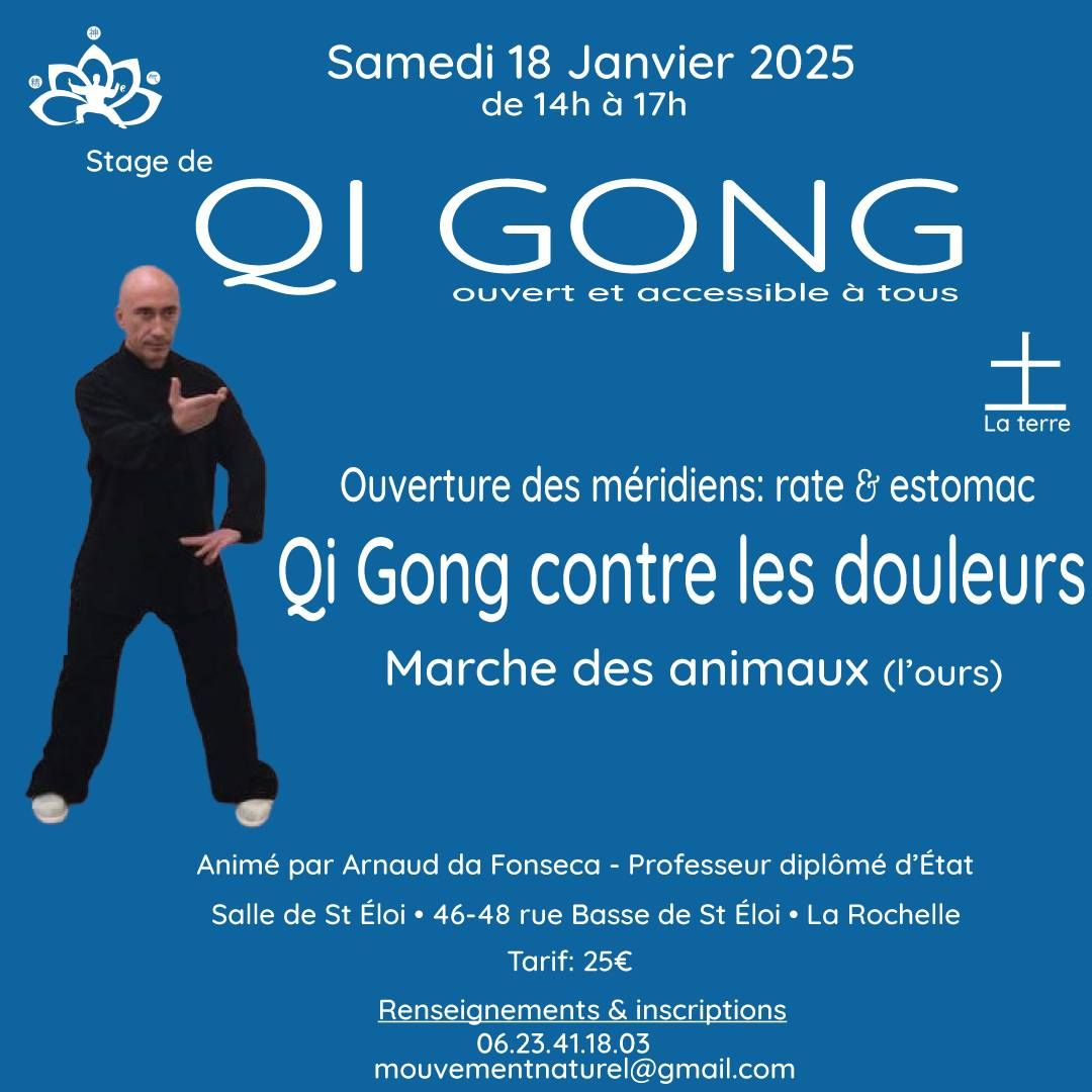 Stage de Qi Gong \u262f\ufe0f "Qi Gong contre les douleurs" \u262f\ufe0f