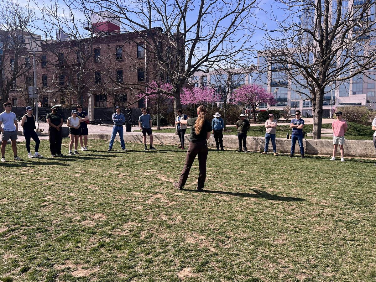 Improv in the Park
