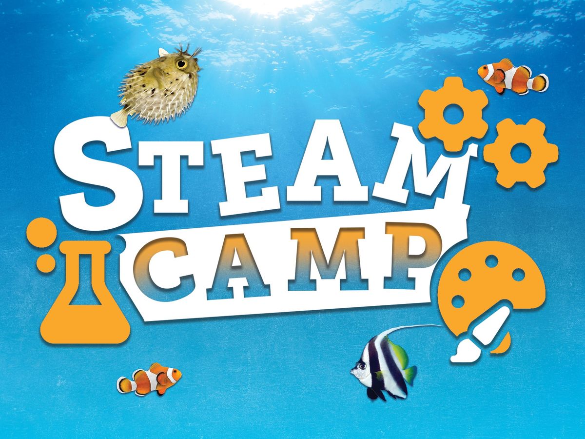 STEAM Camp at Ripley's Aquarium