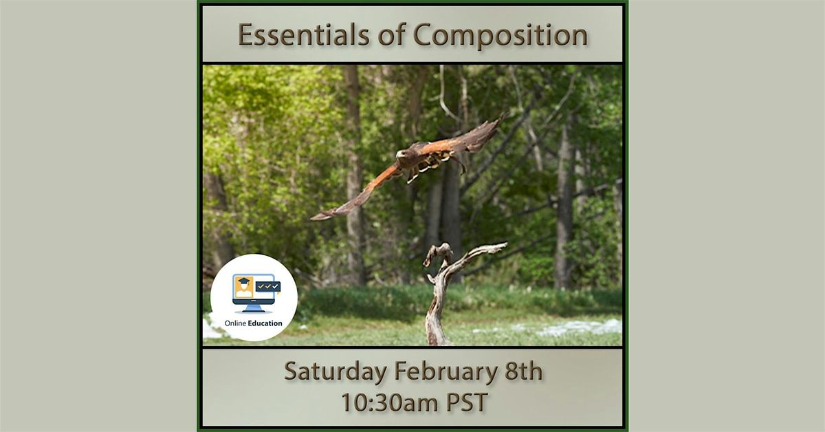 Essentials of Composition with Joe Klocek (Online Class)