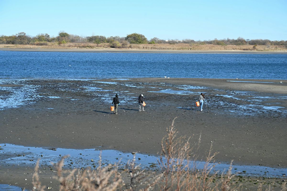 Fountain Shoreline Cleanup