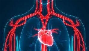 Mending Hearts: Multidisciplinary Approach for Patient's with Cardiac Issue