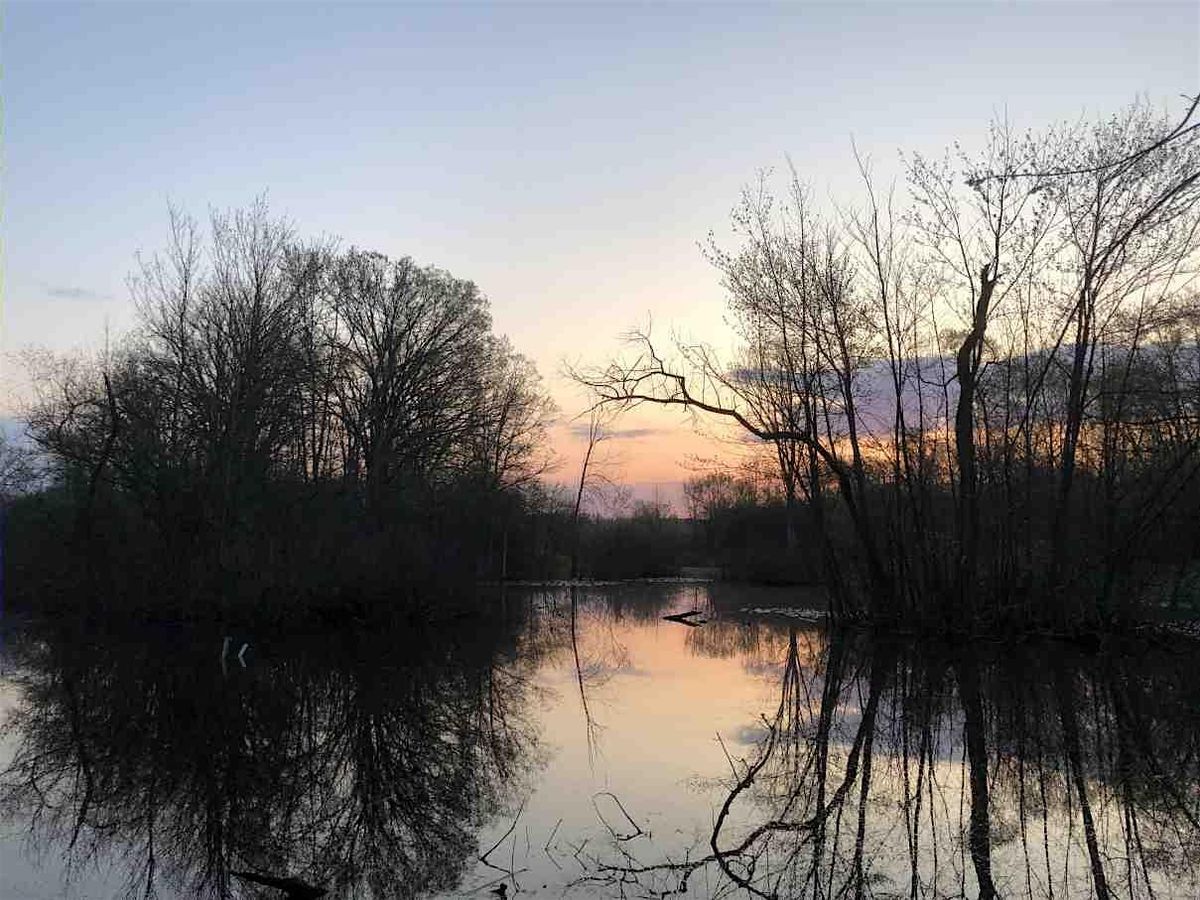 Full Moon Serenade (Beaver Moon)
