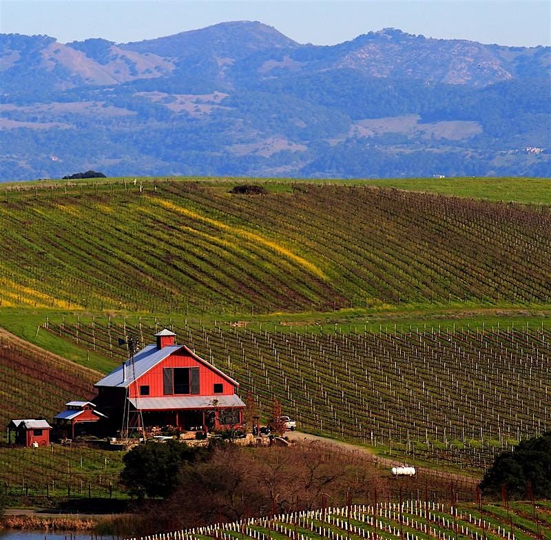 American Wine Tasting